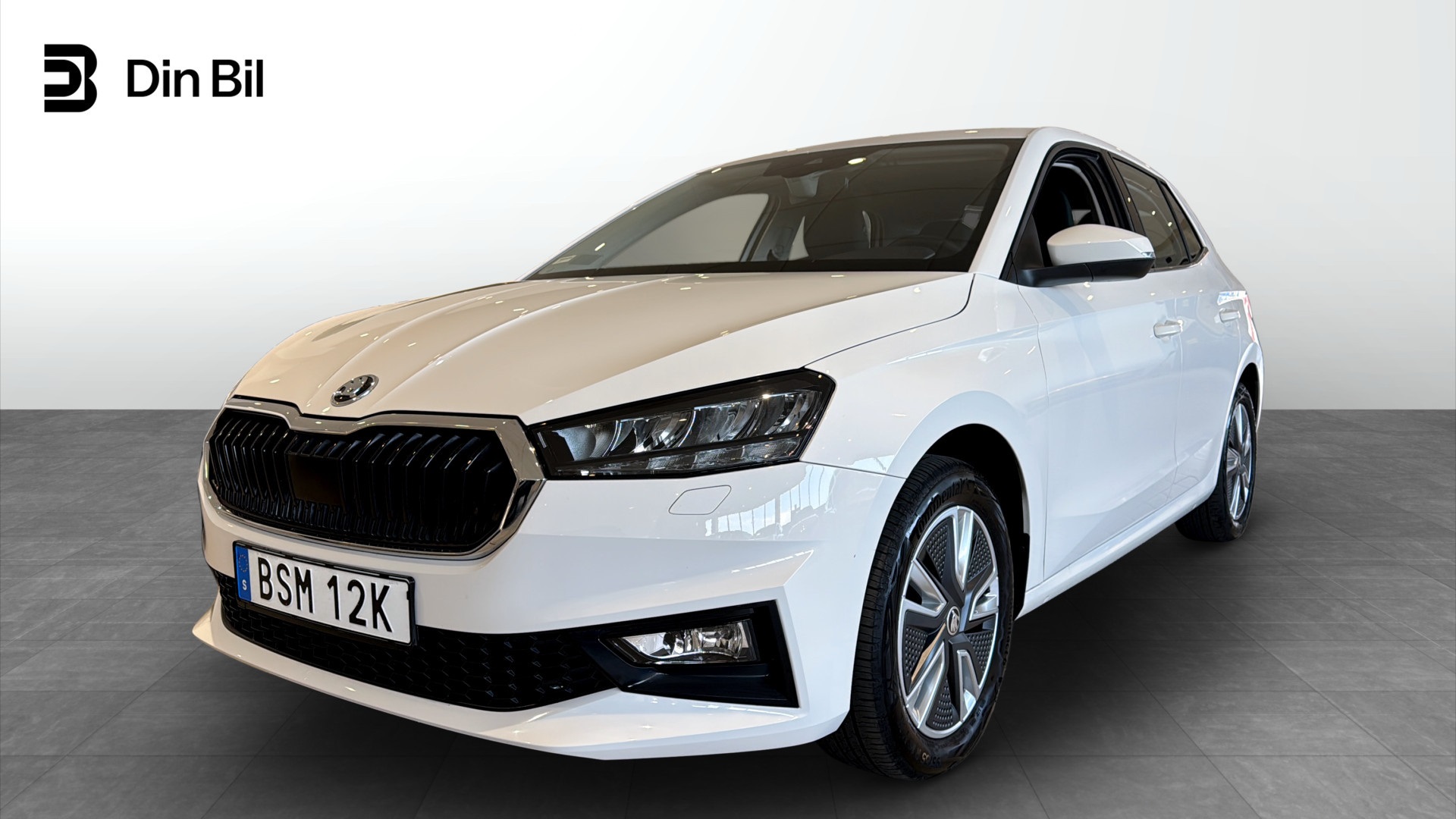 Bild för bil BSM12K