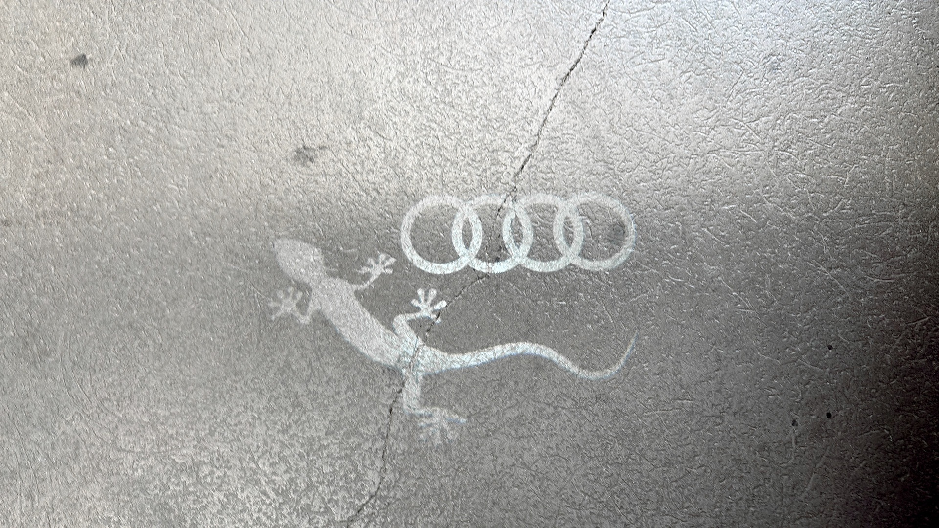 Audi Q5 DFO056