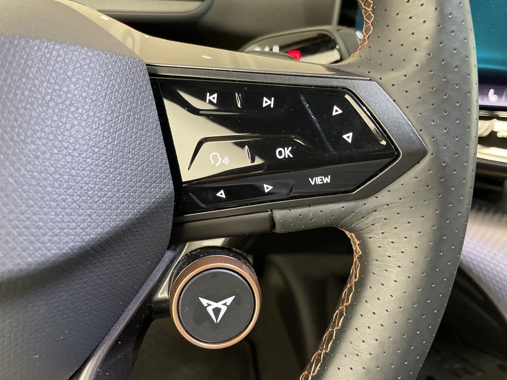 CUPRA Tavascan DWM97X