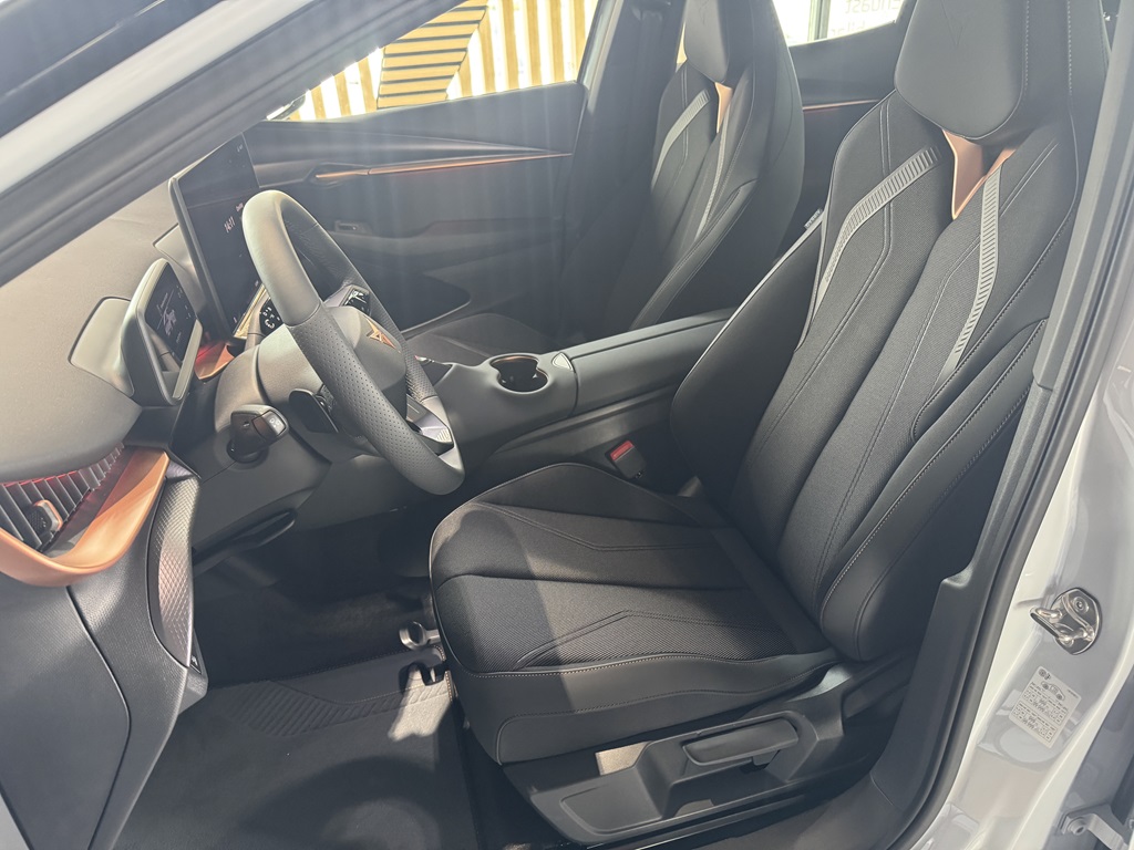 CUPRA Tavascan EGG47U
