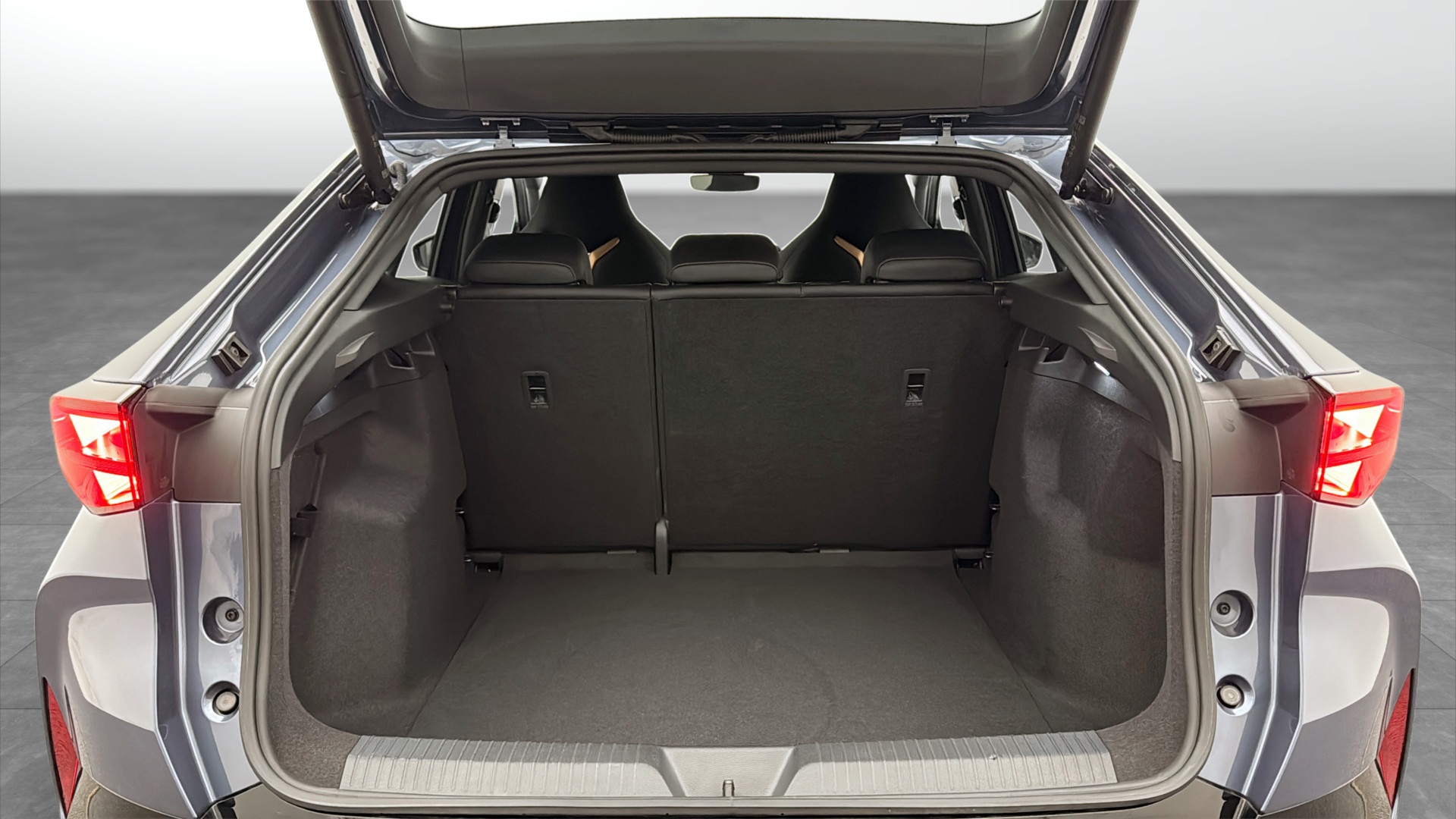 CUPRA Tavascan LWA64D
