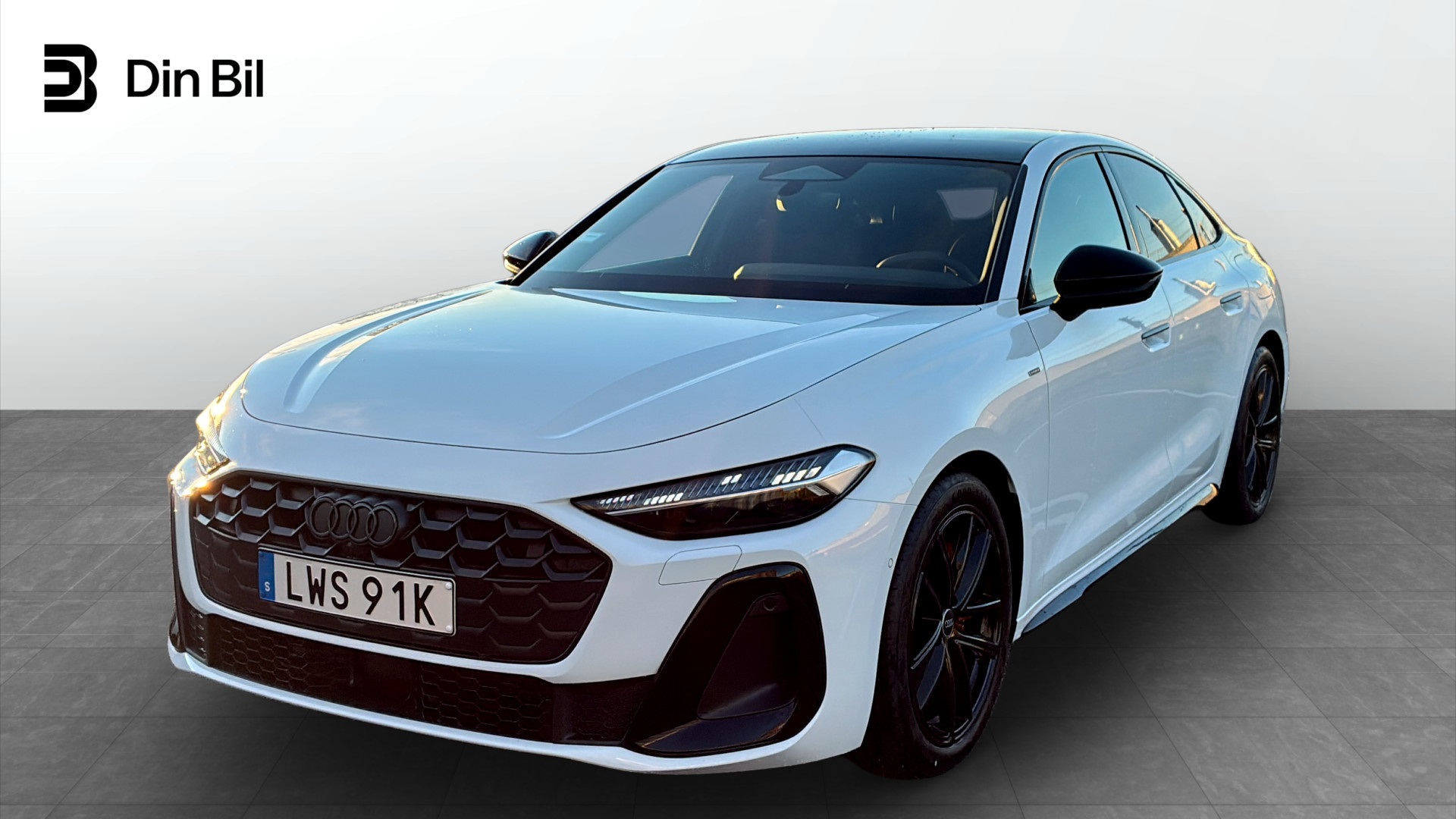 Bild för bil LWS91K