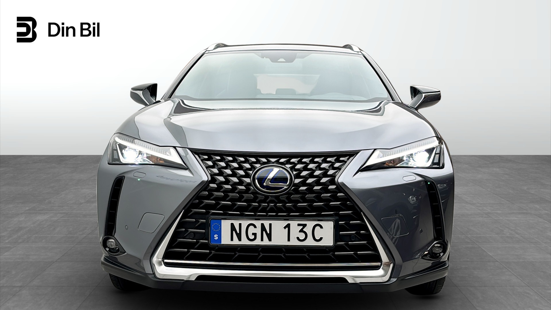 Lexus UX 300e NGN13C