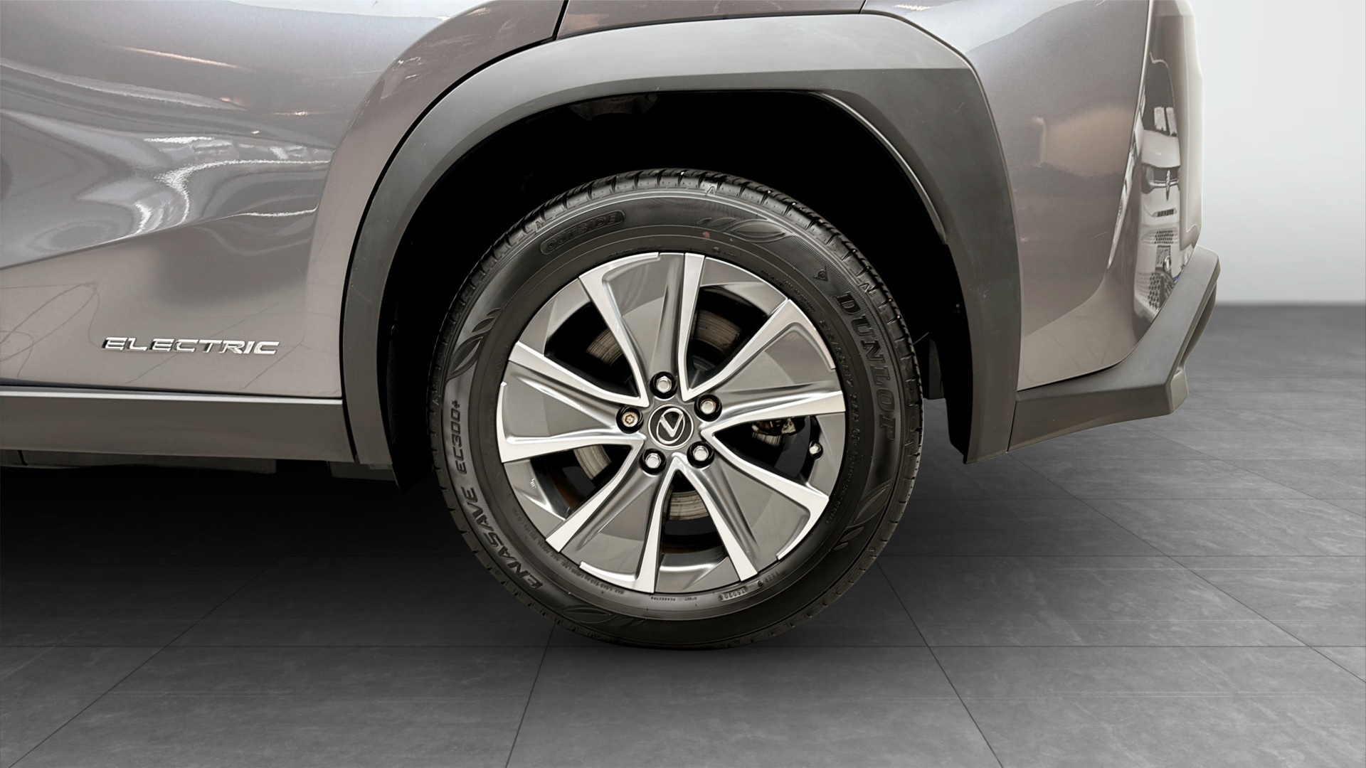 Lexus UX 300e NGN13C
