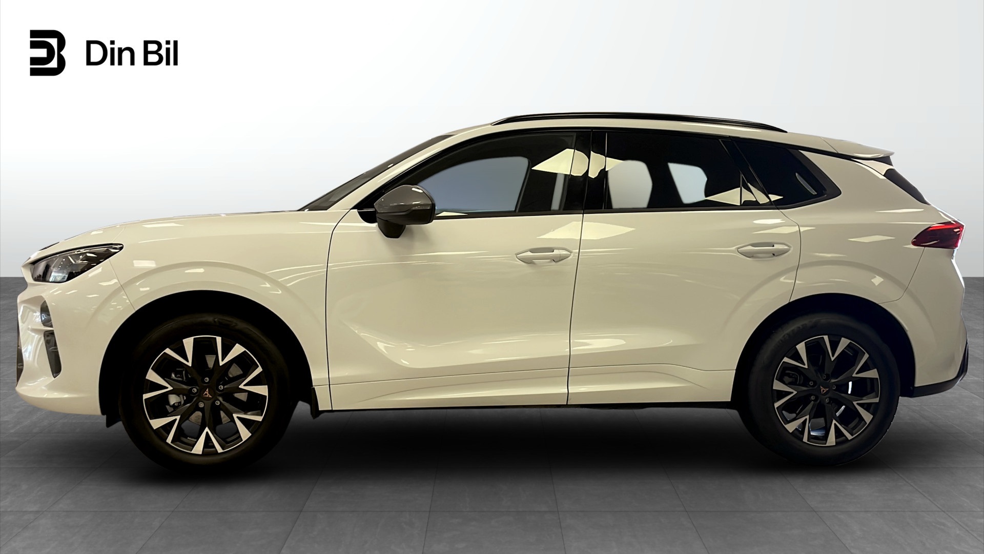 CUPRA Terramar NLY59S