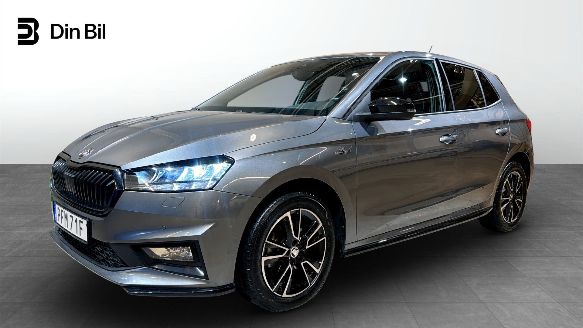 Bild för bil PFM71F