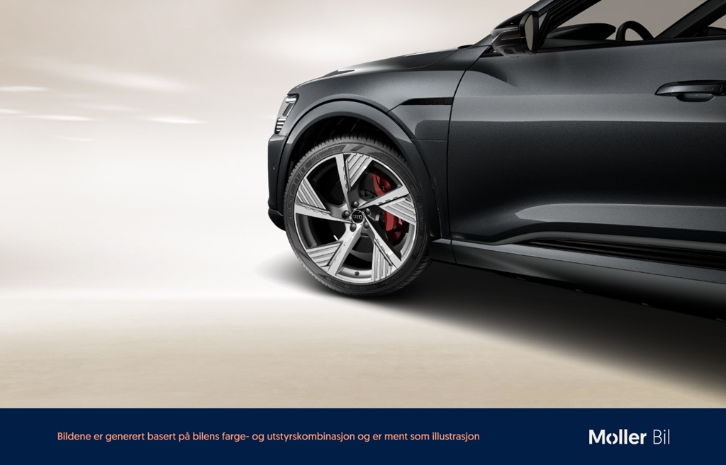 Audi Q8 e-tron RAU16B