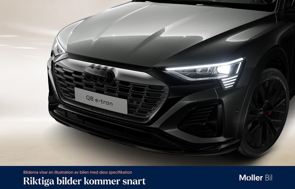 Audi Q8 e-tron WAY96M