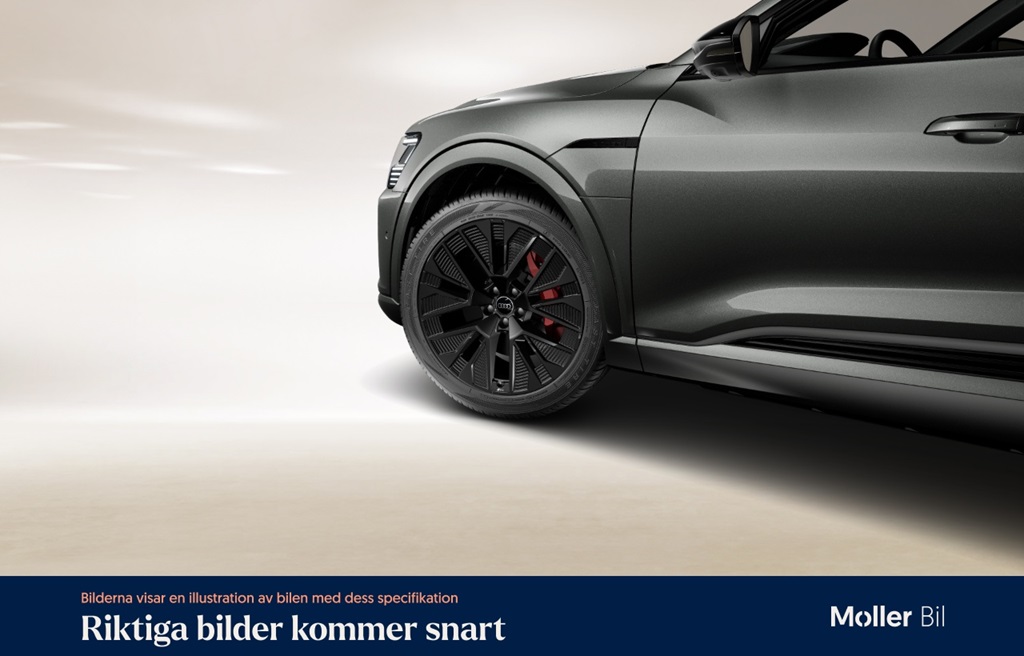 Audi Q8 e-tron WAY96M