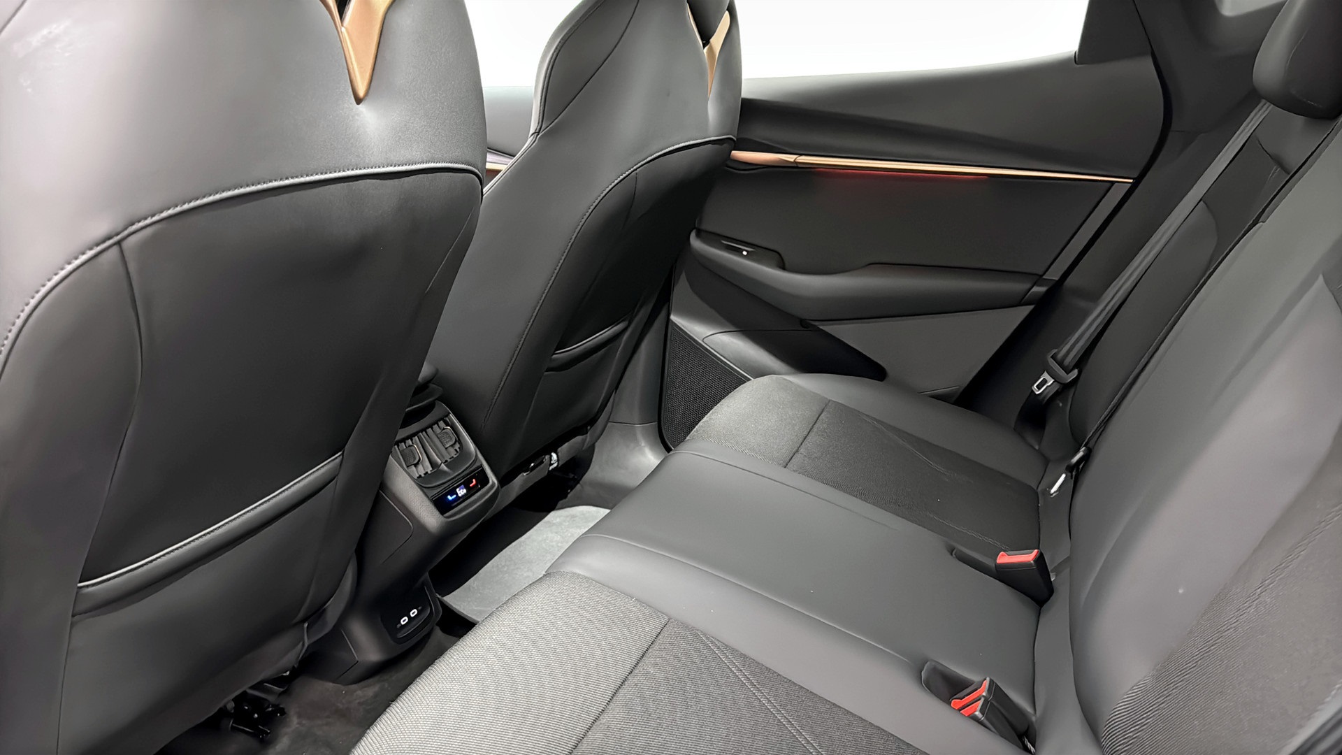 CUPRA Tavascan WBN77J
