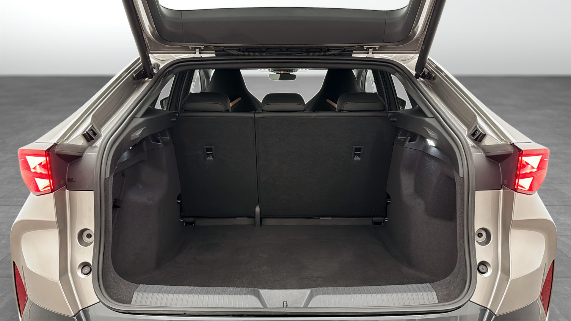 CUPRA Tavascan WBN77J