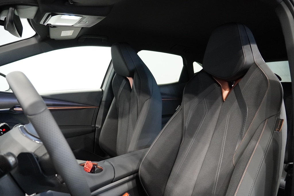 CUPRA Tavascan WDB99K